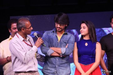 Seethamma Andaalu Raamayya Sithraalu Platinum Disc Function